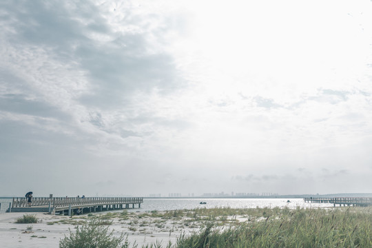 红海滩景区