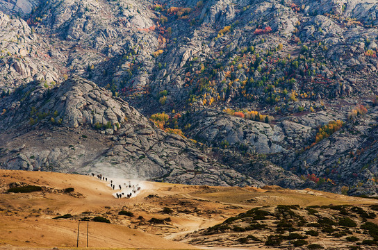 新疆阿尔泰山的秋天