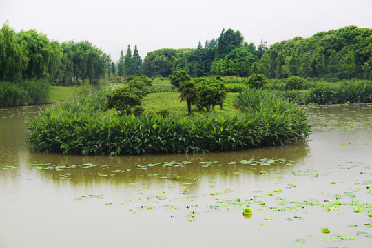 河道绿岛