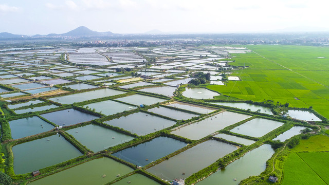 海水养殖场