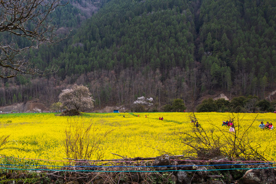 西藏波密318国道沿途风景13