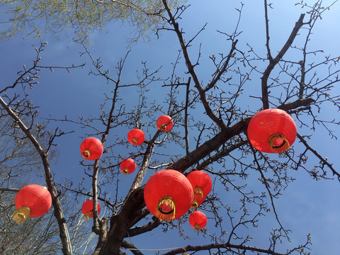 大红灯笼高高挂