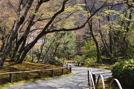 日式庭院