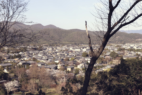 日本乡村