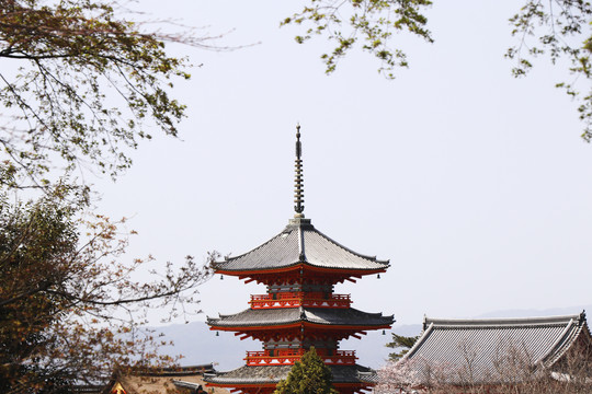 京都清水寺