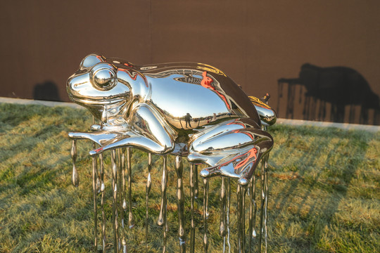 不锈钢雕塑青蛙