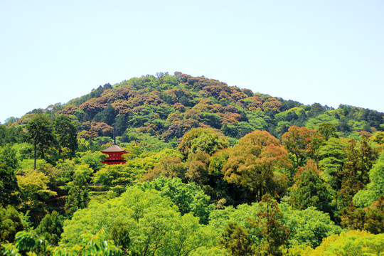 京都