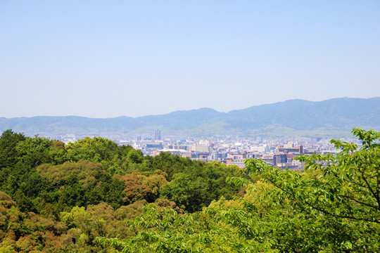 京都風光