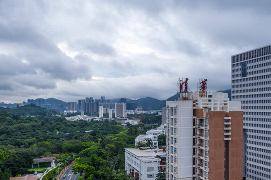 西丽大学城