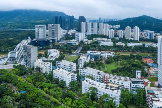 西丽大学城