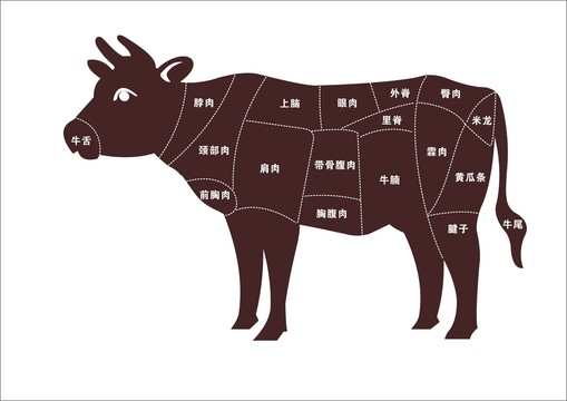 牛肉分割图