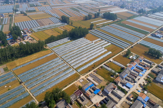 航拍苏北平原小麦丰收场景