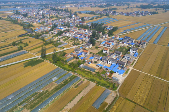 航拍苏北平原小麦丰收场景