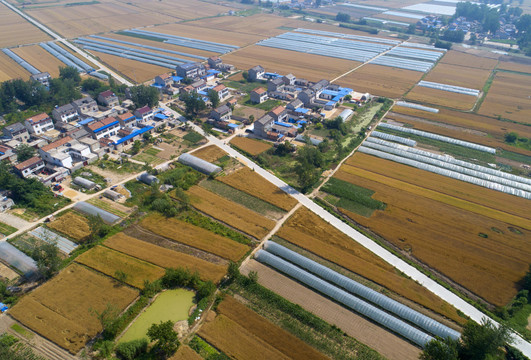 航拍苏北平原小麦丰收场景