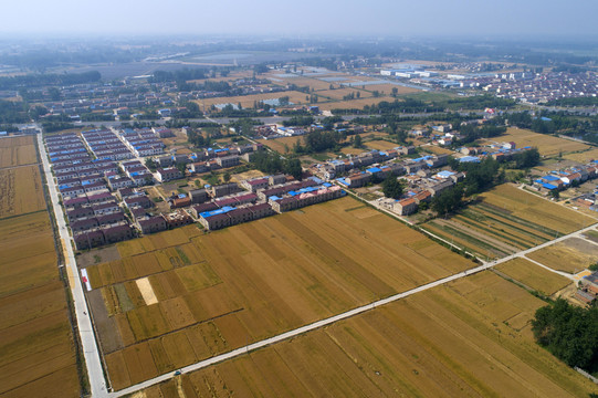 航拍苏北平原小麦丰收场景