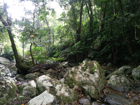 海南五指山大自然风景图