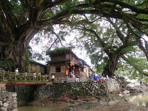 福建漳州南靖龙岩土楼旅景区