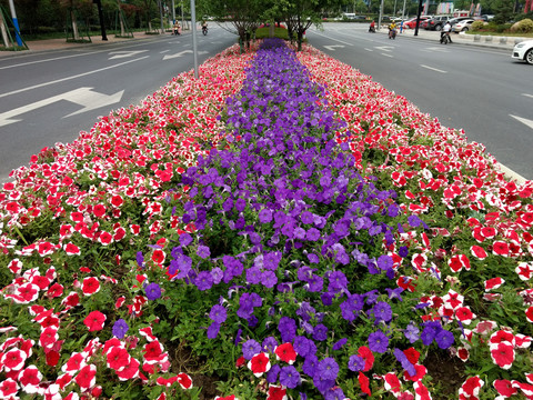 道路隔离花坛