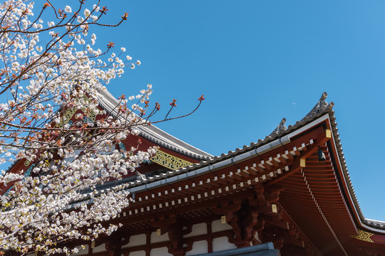 日本东京浅草寺