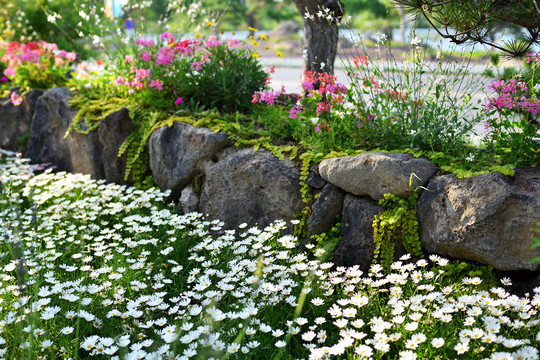 假山花卉