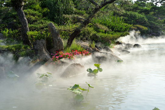 假山花卉