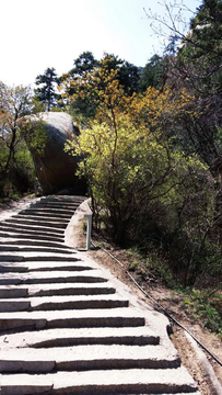 阶梯石级上山