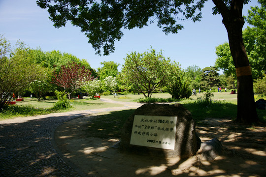 北京大学静园小路