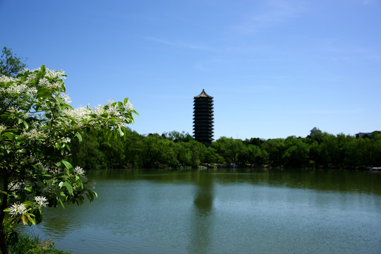 北京大学