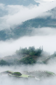 龙胜梯田