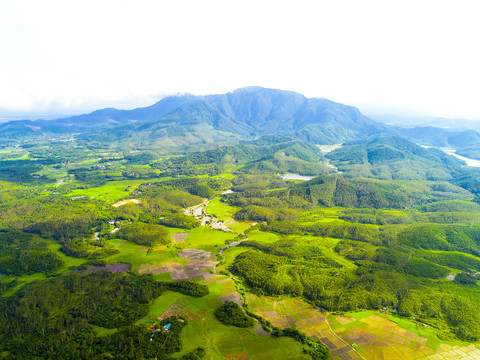 山恋