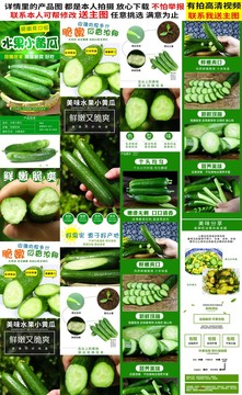 水果黃瓜詳情