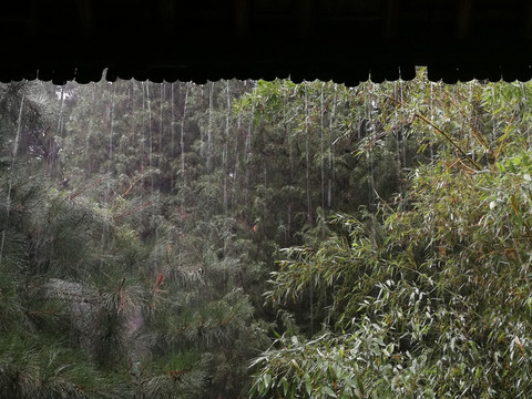 雨打竹亭