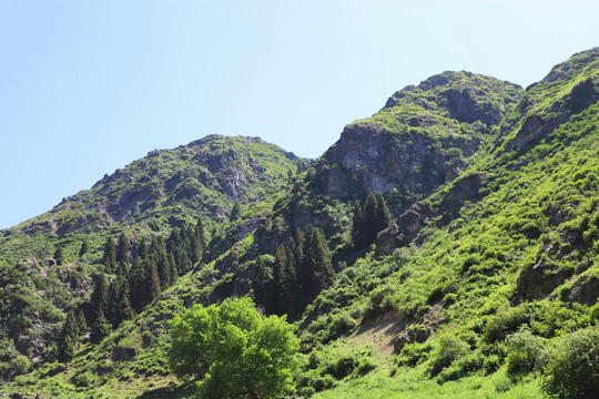 山河秀丽