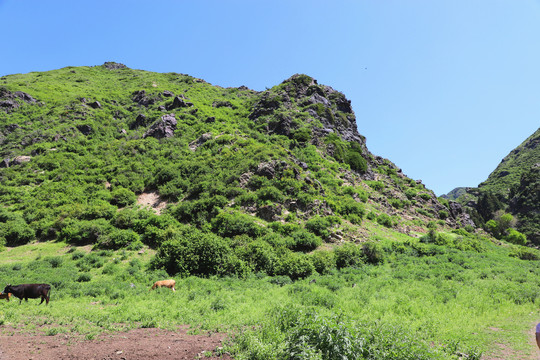 山河秀丽