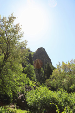 青山绿水