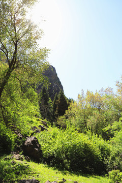 青山绿水