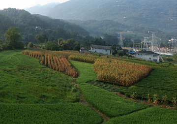 田园风光