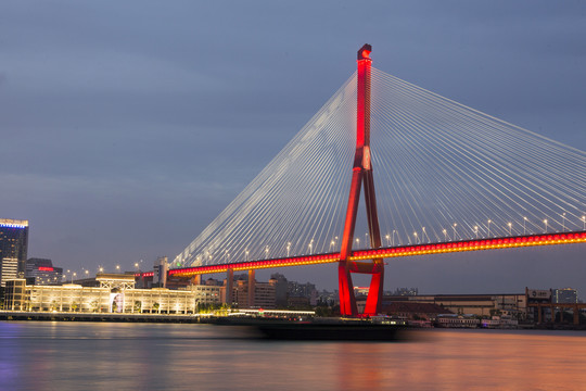 杨浦大桥夜景