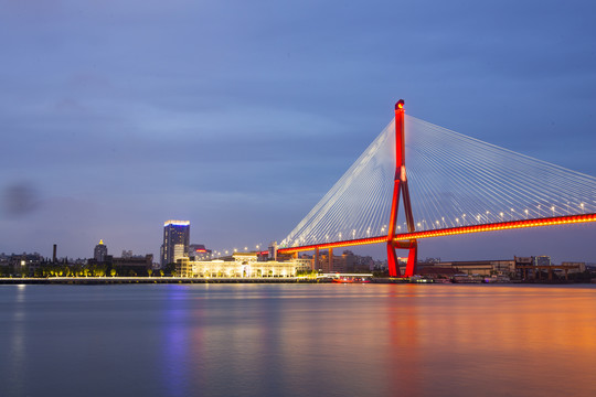 杨浦大桥夜景