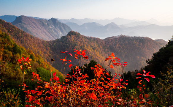 天水小陇山森林公园金龙山风景区