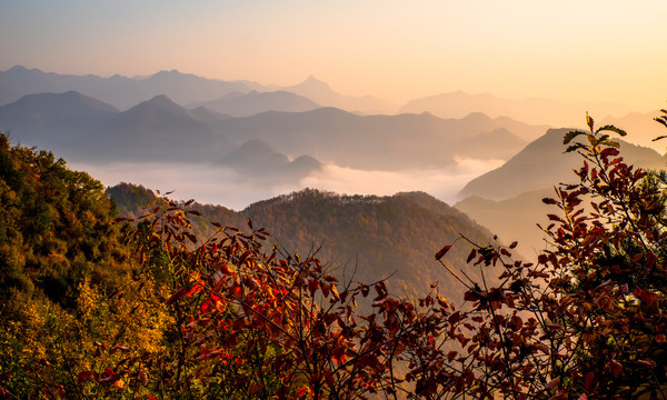 天水小陇山森林公园金龙山风景区