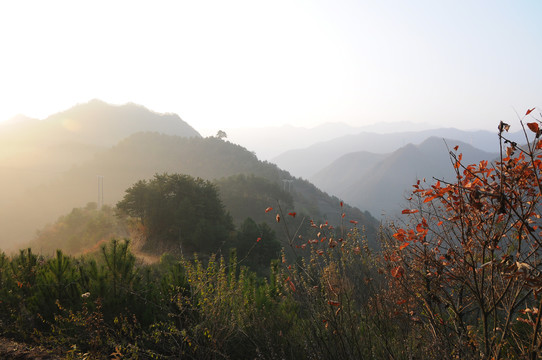 天水小陇山森林公园金龙山风景区