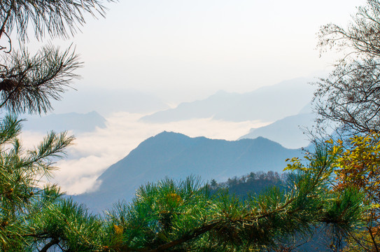 天水小陇山森林公园金龙山风景区