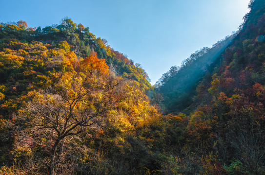 天水小陇山森林公园金龙山风景区