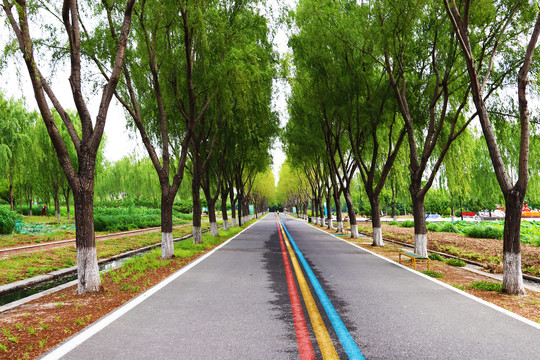 景区道路