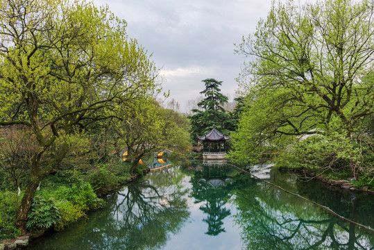 杭州西湖花港观鱼公园景观