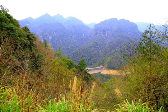 井岗山主峰