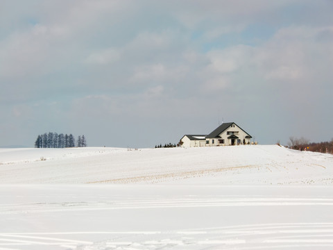 北海道