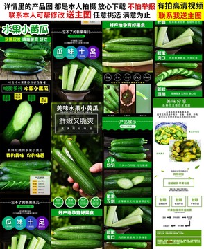 黃瓜詳情