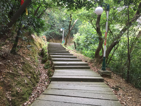 圭峰山散步阶梯